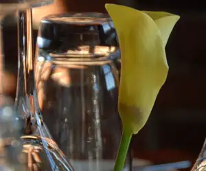 Table setting with fresh flowers.