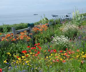 Celia Thaxter's garden on Appledore