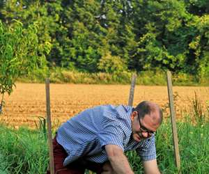 Visiting the Black Trumpet Farm Garden @ Meadow's Mirth