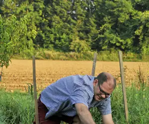 Chef Evan Mallet foraging for fresh vegetables and herbs. 
