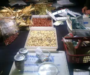 Spice combinations being prepared. 